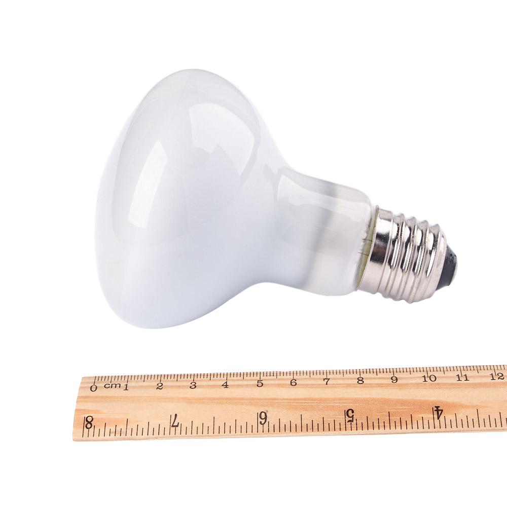 Lizard Heater Heat Lamp UVA Li - Basking Bulb Halogen ulasan dan harga