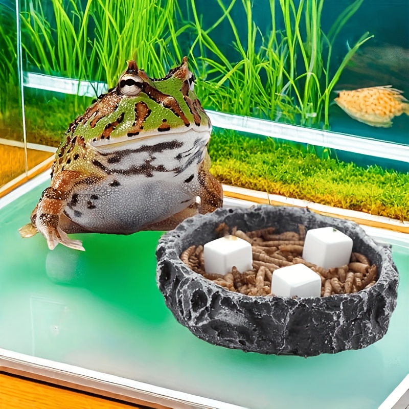 6Pcs For Reptile Grinding Tort - Calcium Powder Reptile ulasan dan harga