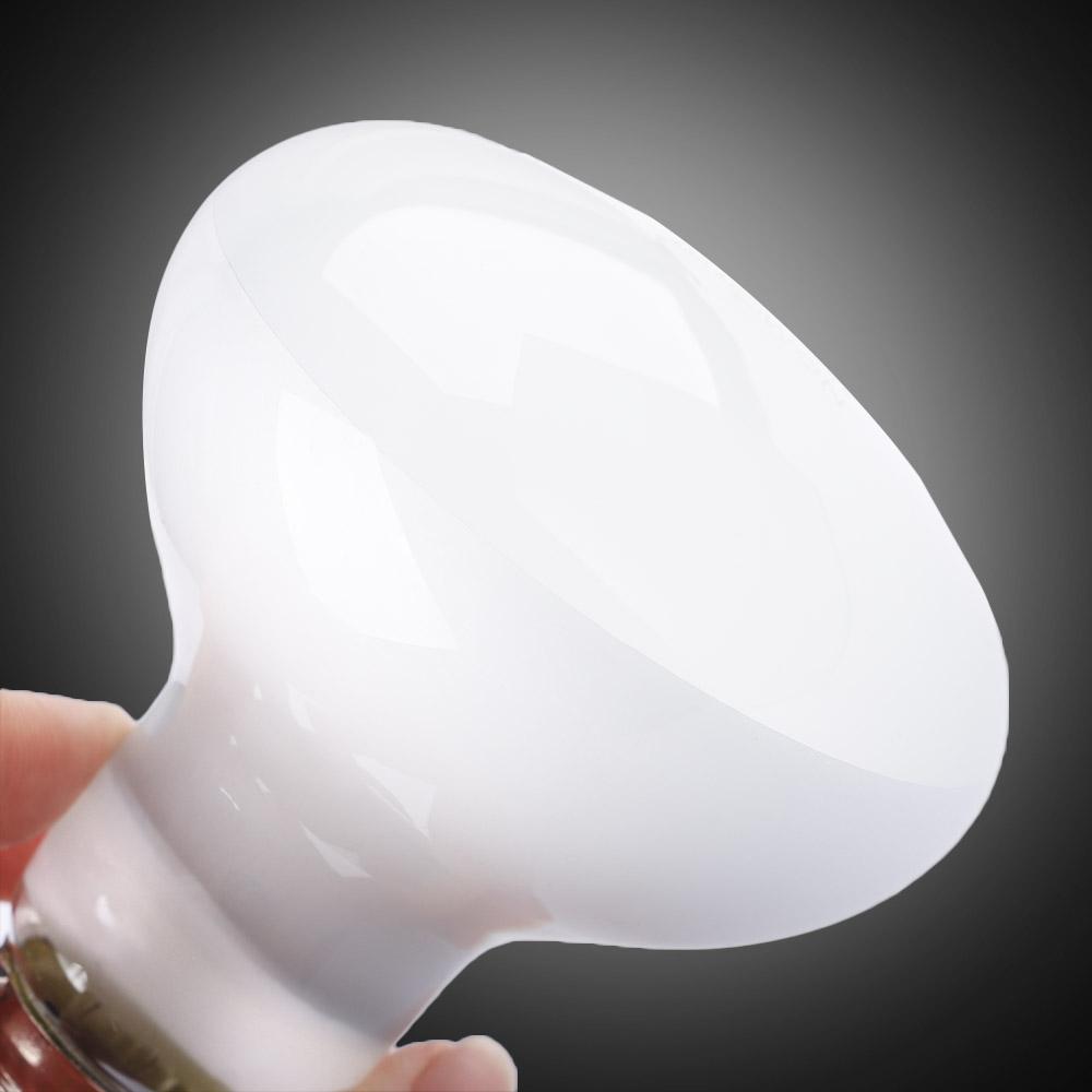 Lizard Heater Temperature Cont - Basking Bulb Halogen ulasan dan harga