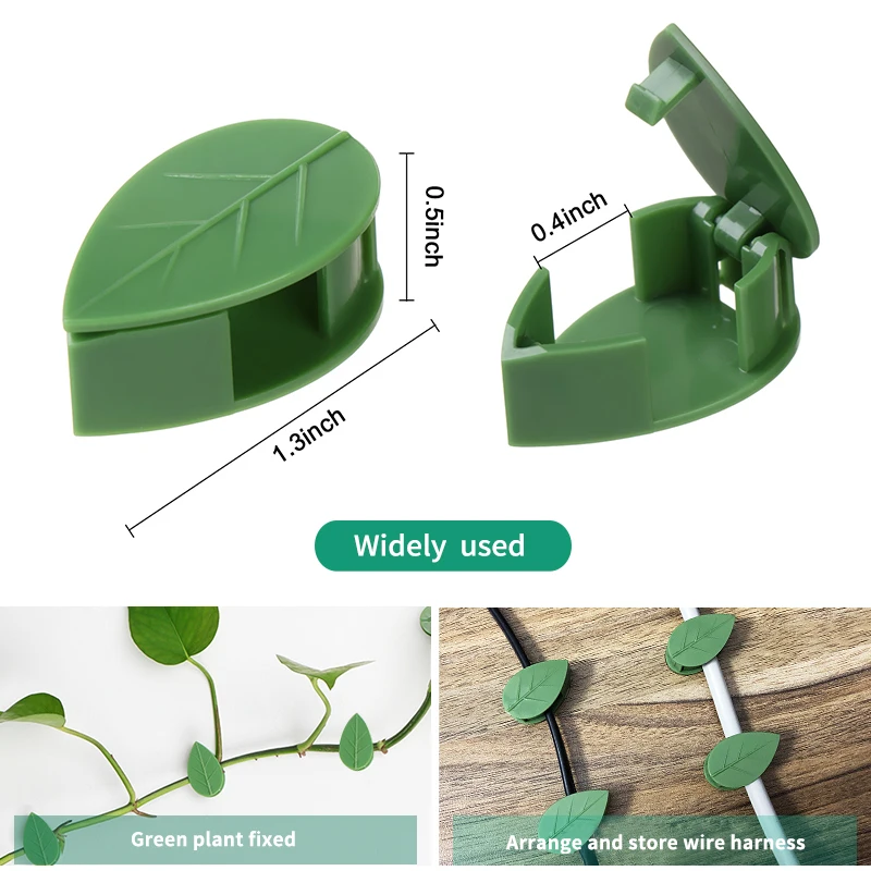 1-50Pcs invisible plant wall c - Vine Climbing Plastic ulasan dan harga
