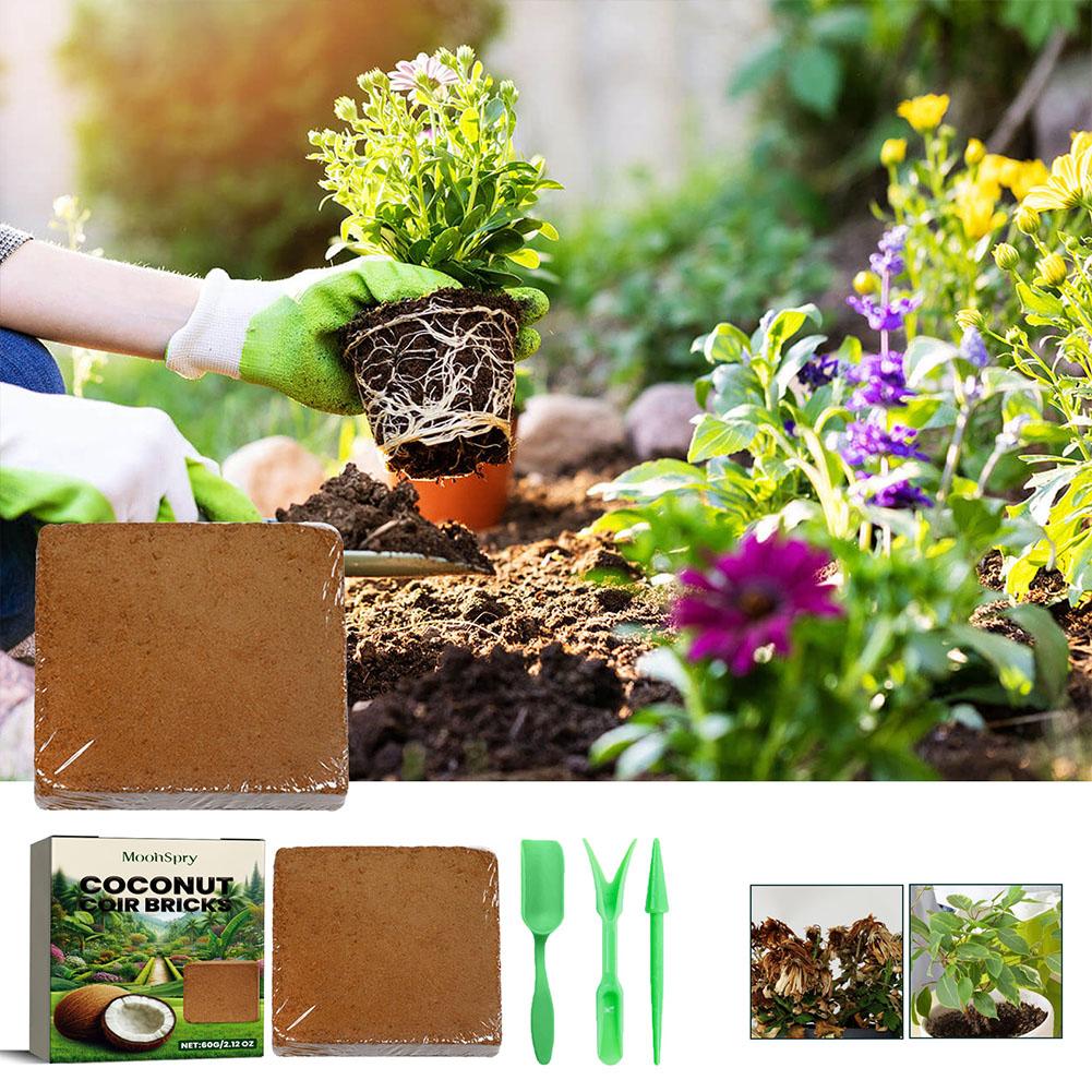 Reptile Coconut Soil Coir Pres - Substrate Coconut Fiber ulasan dan harga