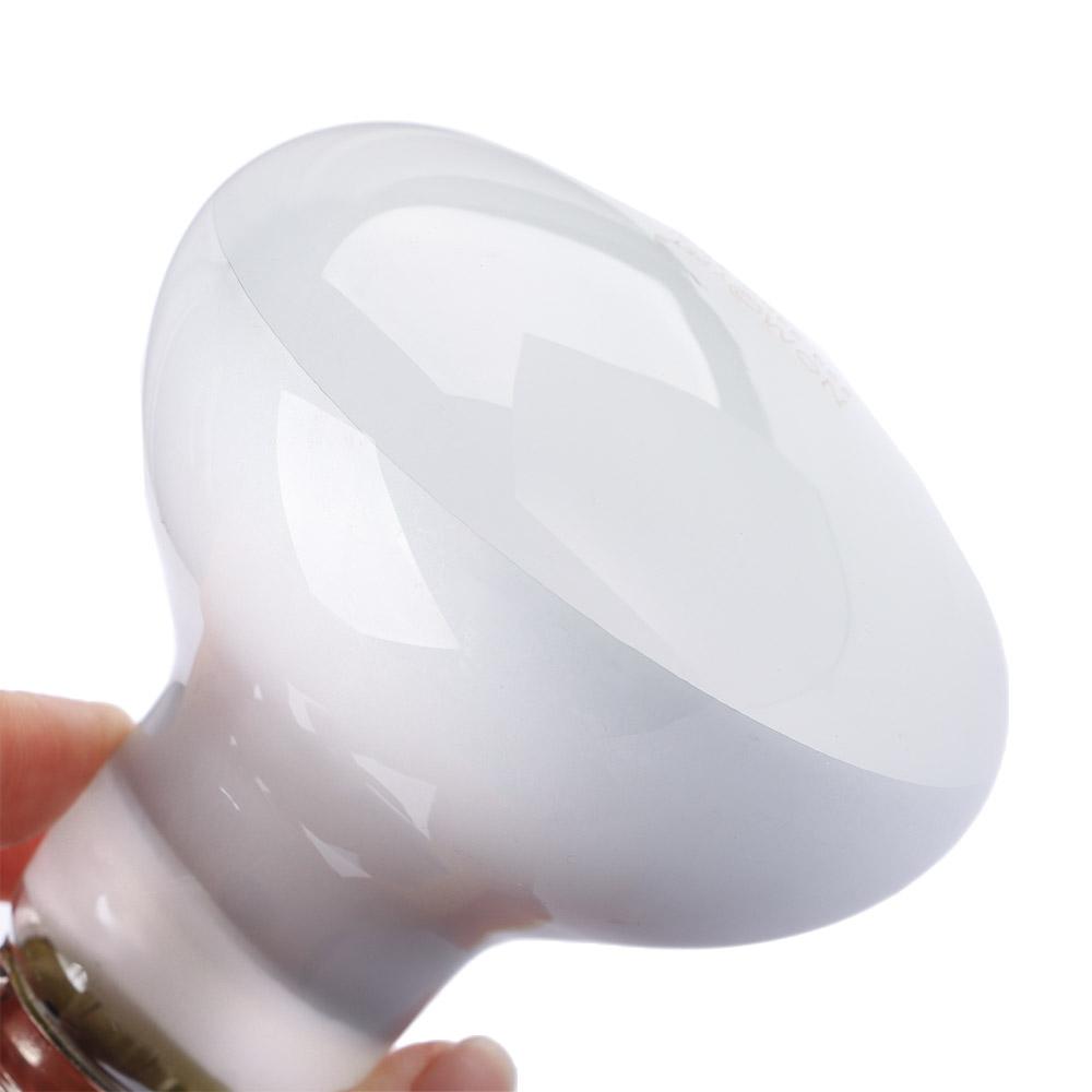 Lizard Heater Temperature Cont - Basking Bulb Halogen ulasan dan harga