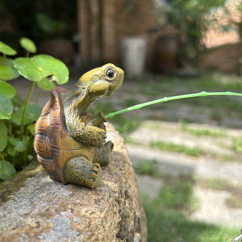 Turtle fishing fish tank aquar - Water Dish Reptile ulasan dan harga