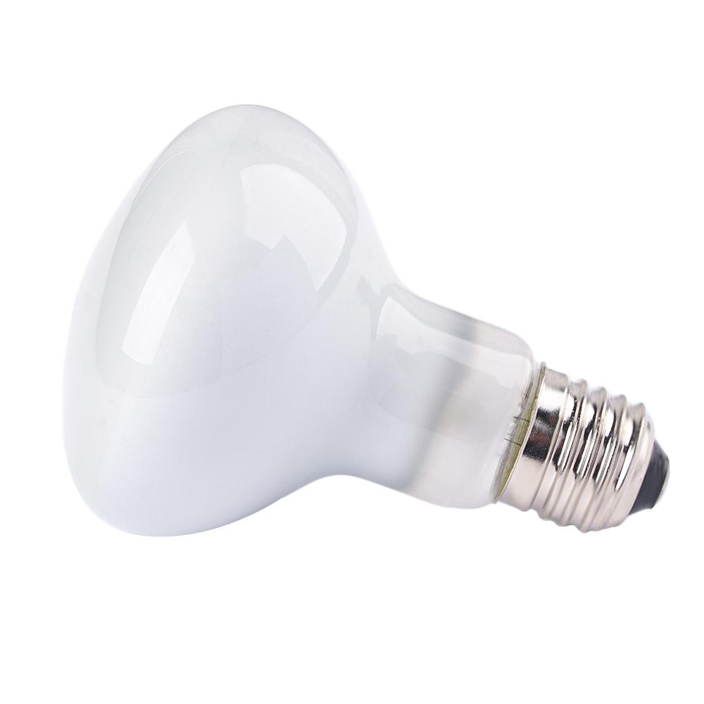 Lizard Temperature Controller  - Basking Bulb Halogen ulasan dan harga