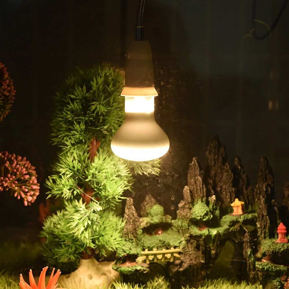 Amphibians Heater Heat Lamp UV - Basking Bulb Halogen ulasan dan harga