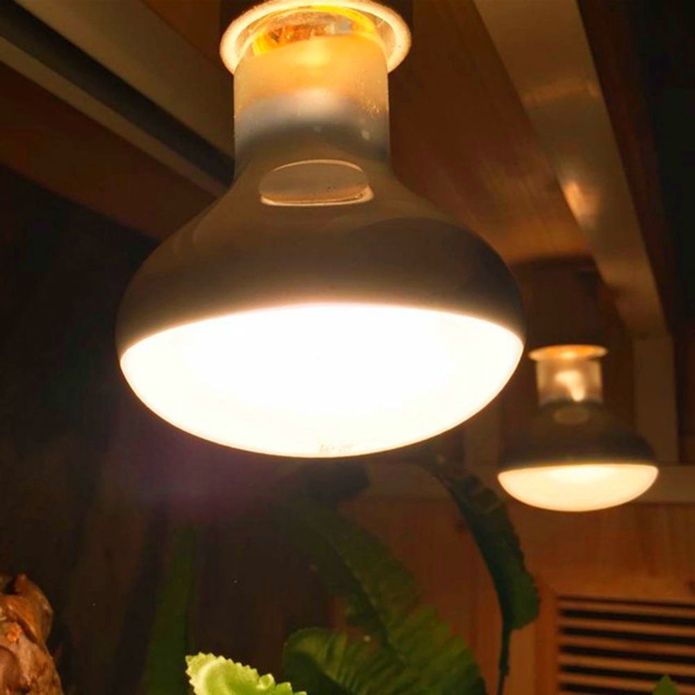 Amphibians Heater Heat Lamp UV - Basking Bulb Halogen ulasan dan harga