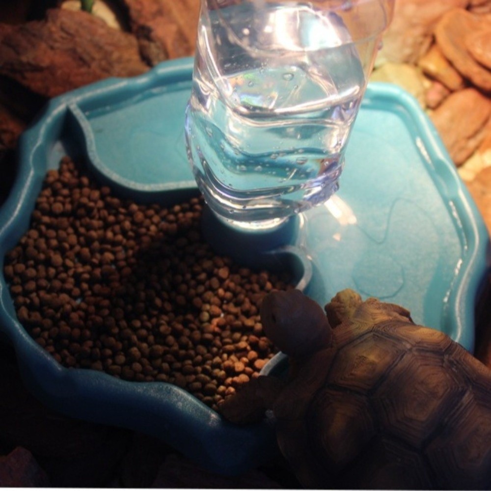 New Removable Reptile Feeder E - Water Dish Reptile ulasan dan harga