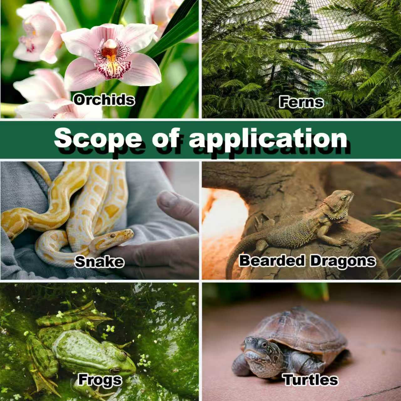 Reptile Humidifier Terrarium F - Terrarium Fogger Ultrasonic ulasan dan harga