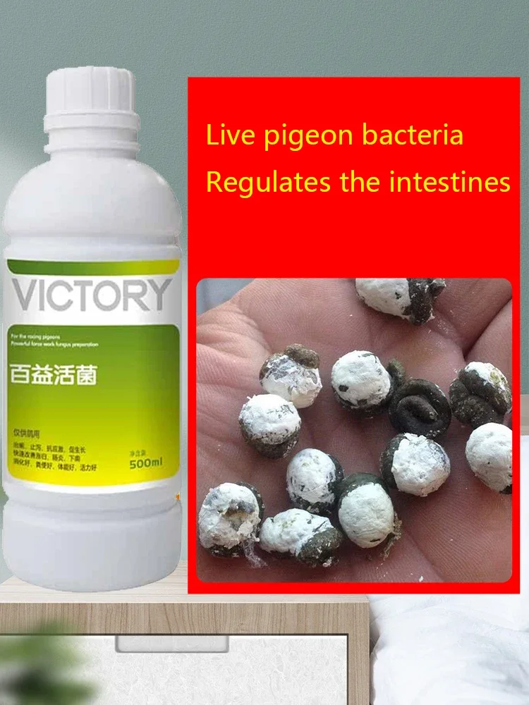 500ml Meat Pigeon Racing Pigeo - Vitamin D3 Reptile ulasan dan harga