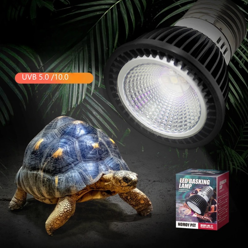 NOMOY Reptile 110/220V UVB+UVA - Calcium Powder Reptile ulasan dan harga