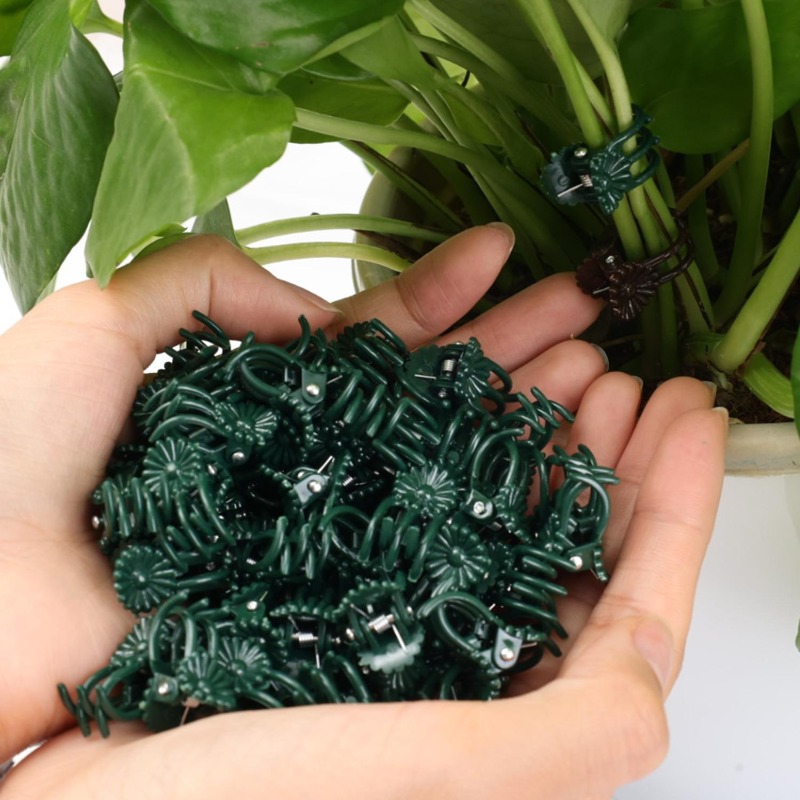 Wholesale Mini Plant Support C - Vine Climbing Plastic ulasan dan harga