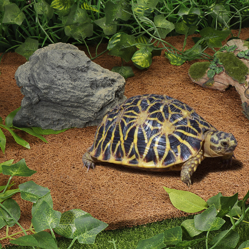 Coconut Substrate for Reptile  - Substrate Coconut Fiber ulasan dan harga