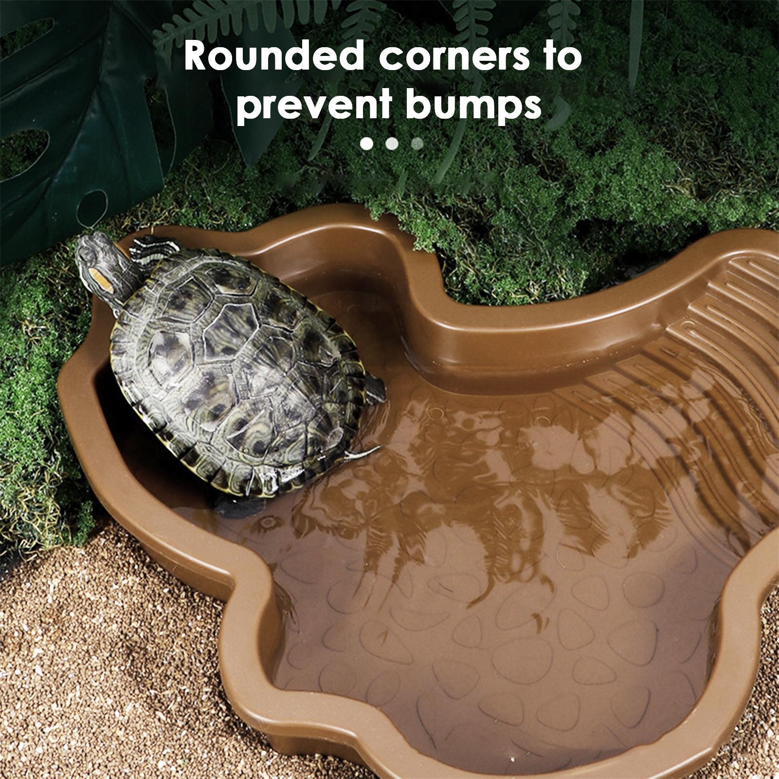 Reptile Bathing Pool with Ramp - Water Dish Reptile ulasan dan harga