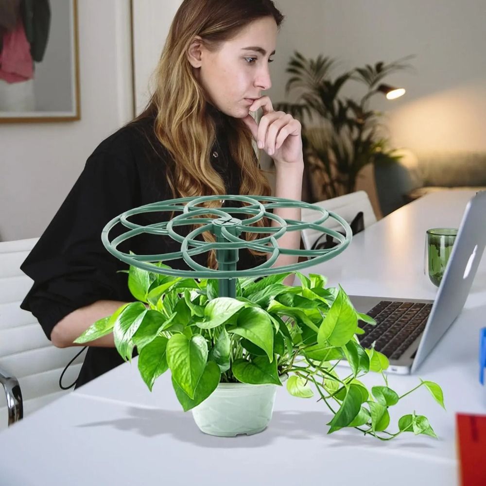 Durable S/M/L Bonsai Climbing  - Vine Climbing Plastic ulasan dan harga