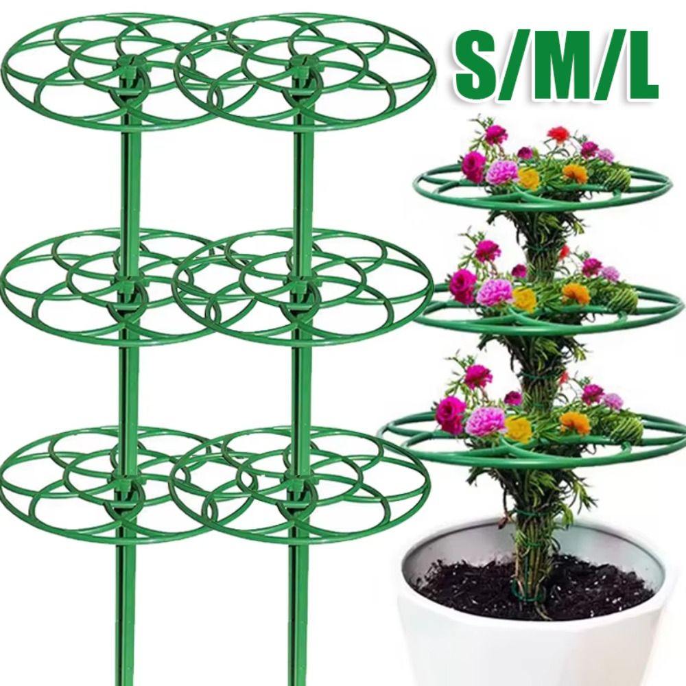 Durable S/M/L Bonsai Climbing  - Vine Climbing Plastic ulasan dan harga