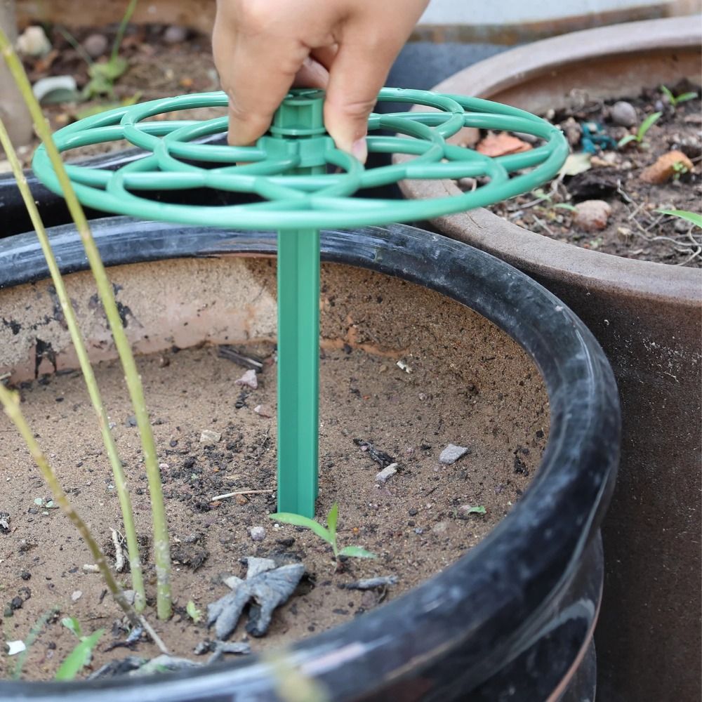 Durable S/M/L Bonsai Climbing  - Vine Climbing Plastic ulasan dan harga