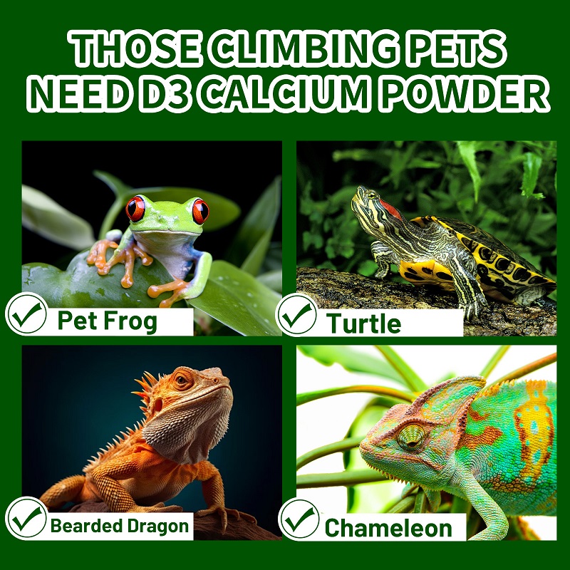 Crawling Pet Vitamin D3 Calciu - Vitamin D3 Reptile ulasan dan harga