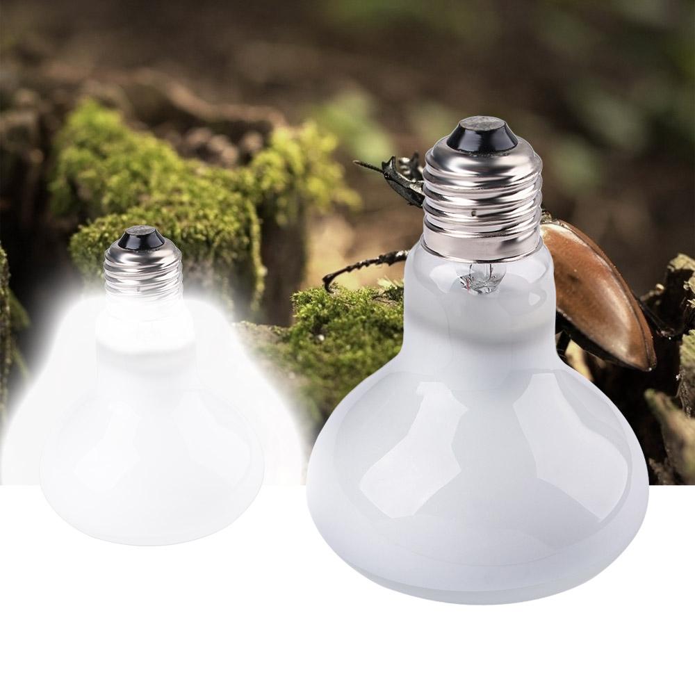 Turtle Heater Heat Lamp Reptil - Basking Bulb Halogen ulasan dan harga