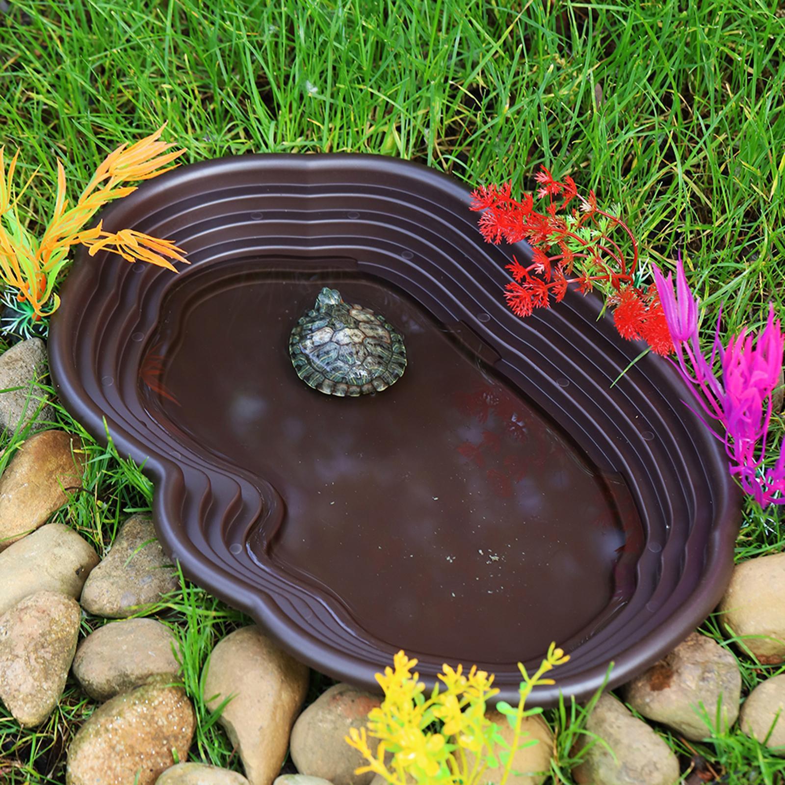 Reptile Bathing Dish Tortoise  - Water Dish Reptile ulasan dan harga