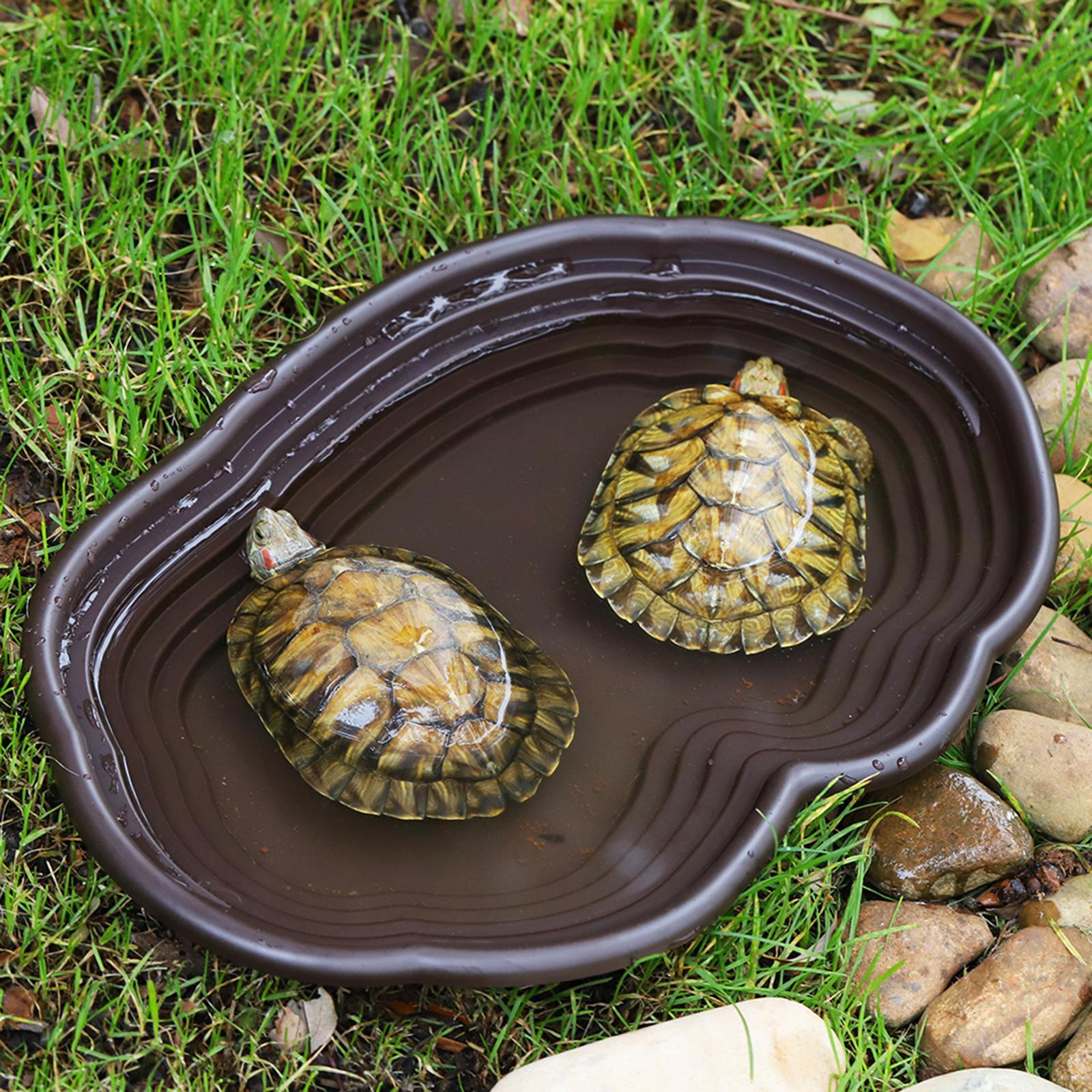 Reptile Bathing Dish Tortoise  - Water Dish Reptile ulasan dan harga