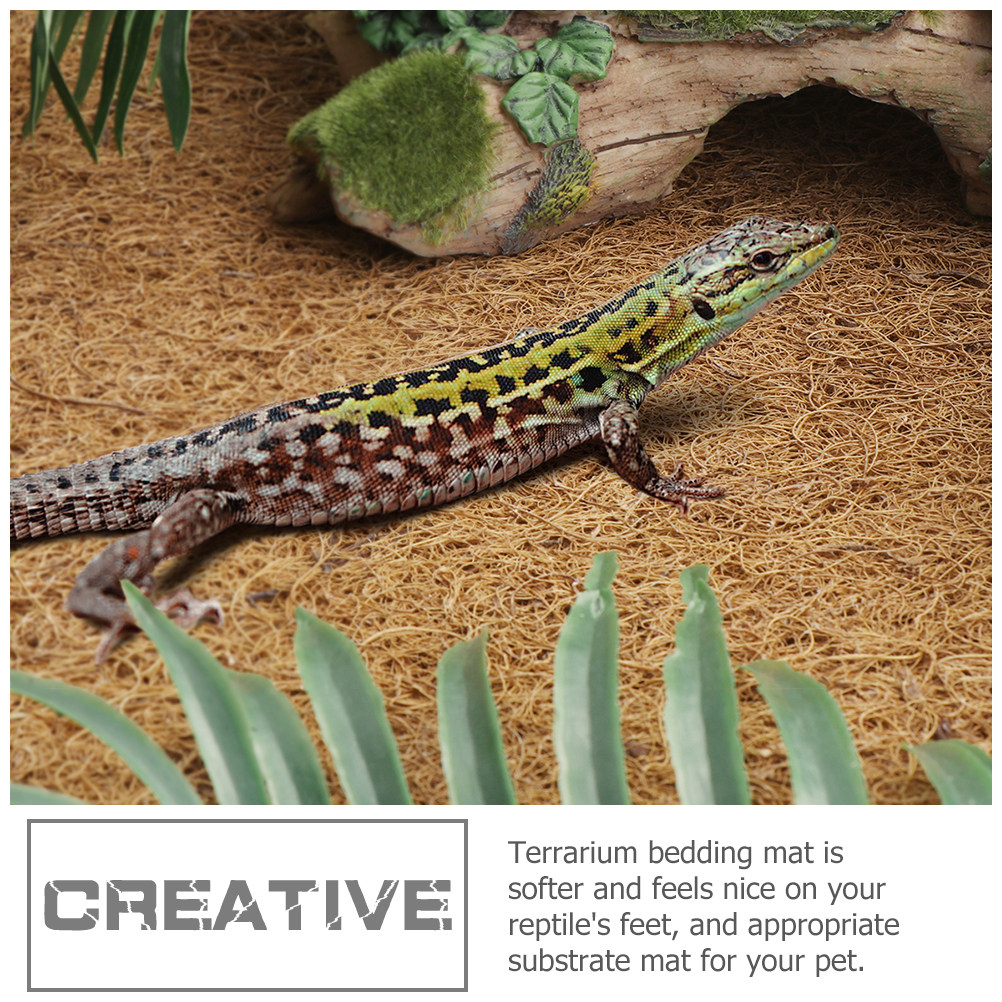 Natural Coconut Fiber Reptile  - Substrate Coconut Fiber ulasan dan harga
