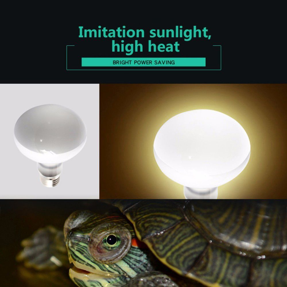 Turtle Heater Temperature Cont - Basking Bulb Halogen ulasan dan harga