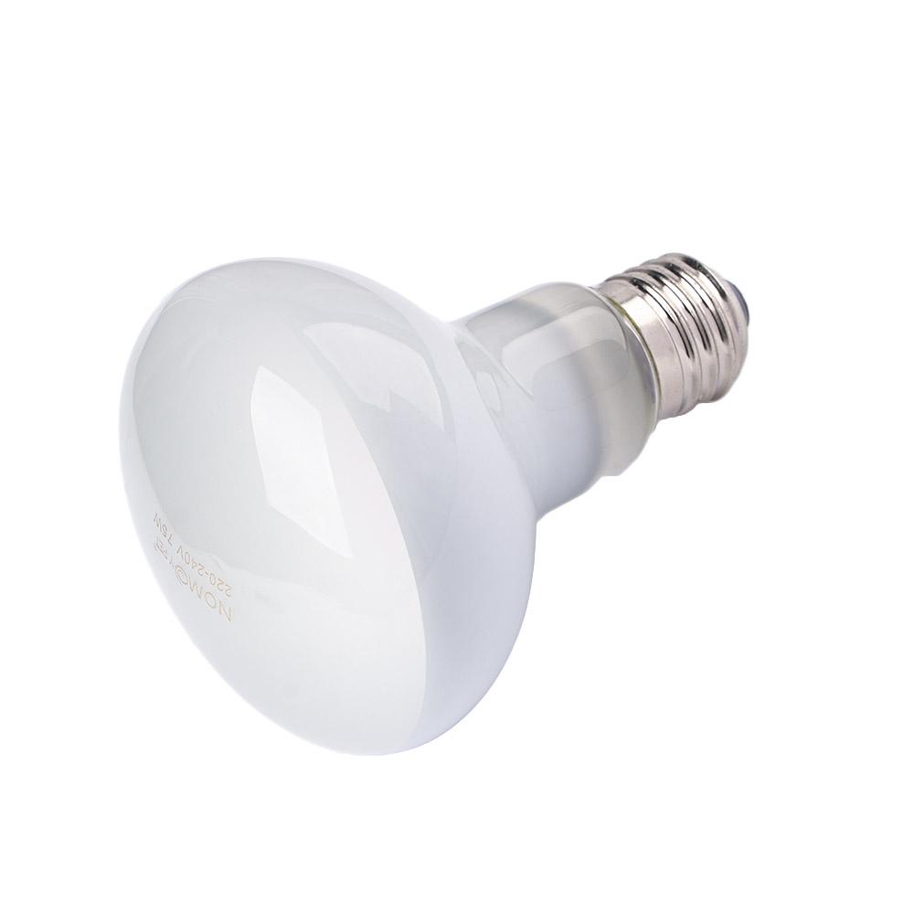 Turtle Heater Temperature Cont - Basking Bulb Halogen ulasan dan harga