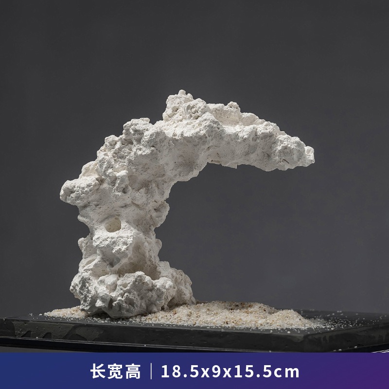 Glazed Ceramic Anemone Ornamen - Hide Cave Ceramic ulasan dan harga