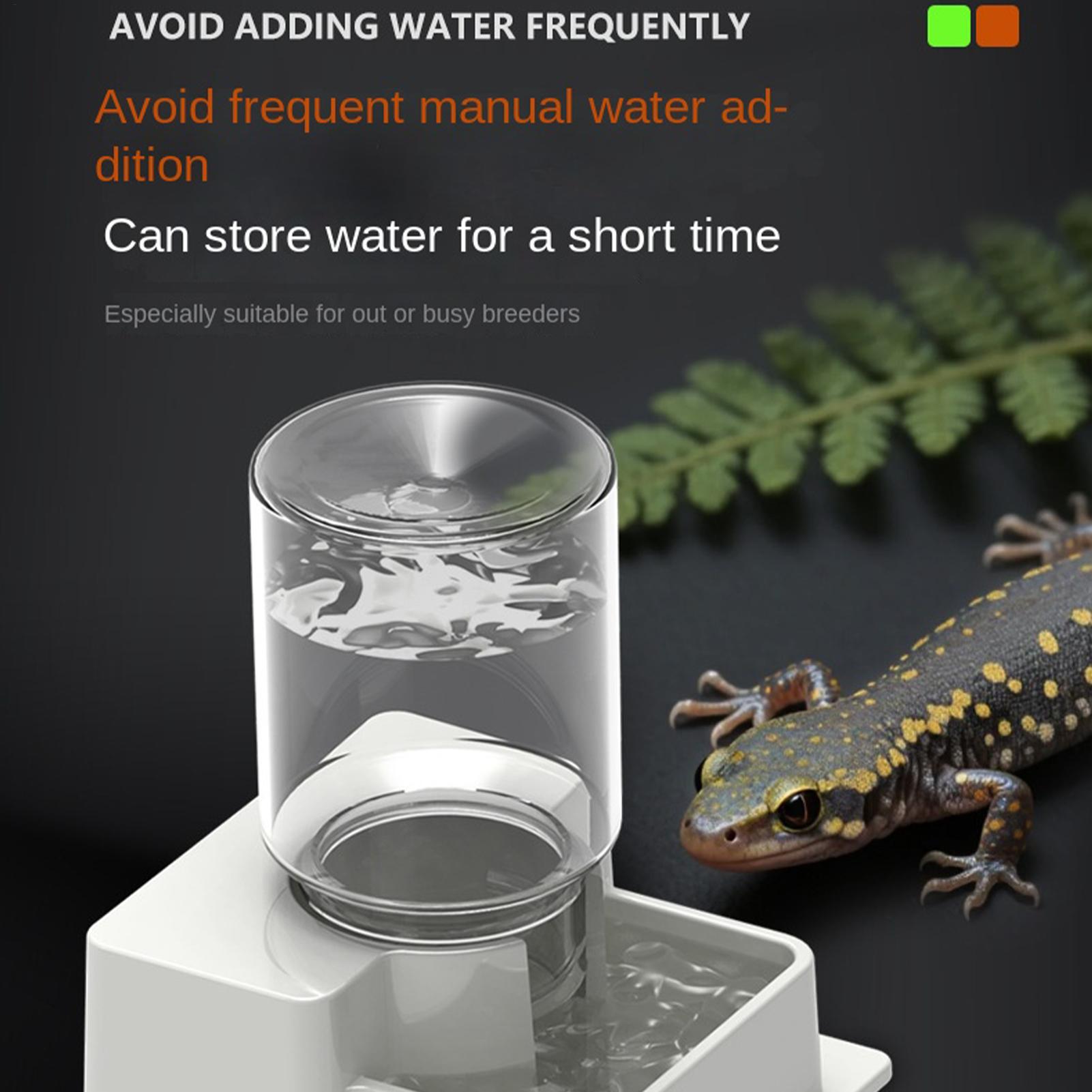 Bearded Dragon Water Fountain  - Water Dish Reptile ulasan dan harga