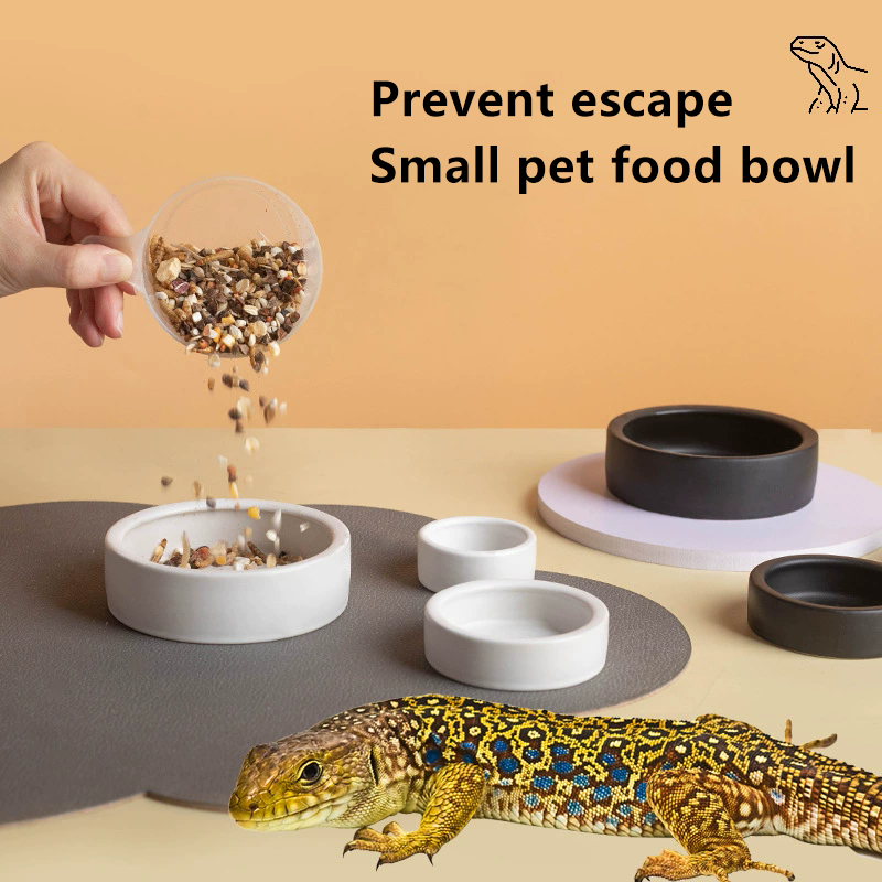 HOT! Reptile Food Bowl Anti-Es - Water Dish Reptile ulasan dan harga