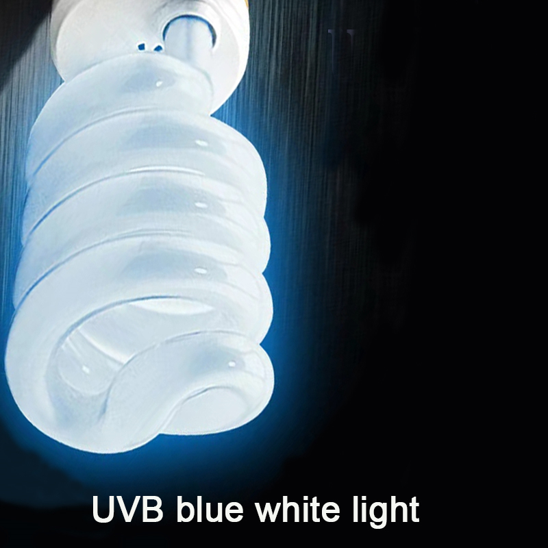 E27 13W/26W Reptile Uvb Lamp   - Calcium Powder Reptile ulasan dan harga