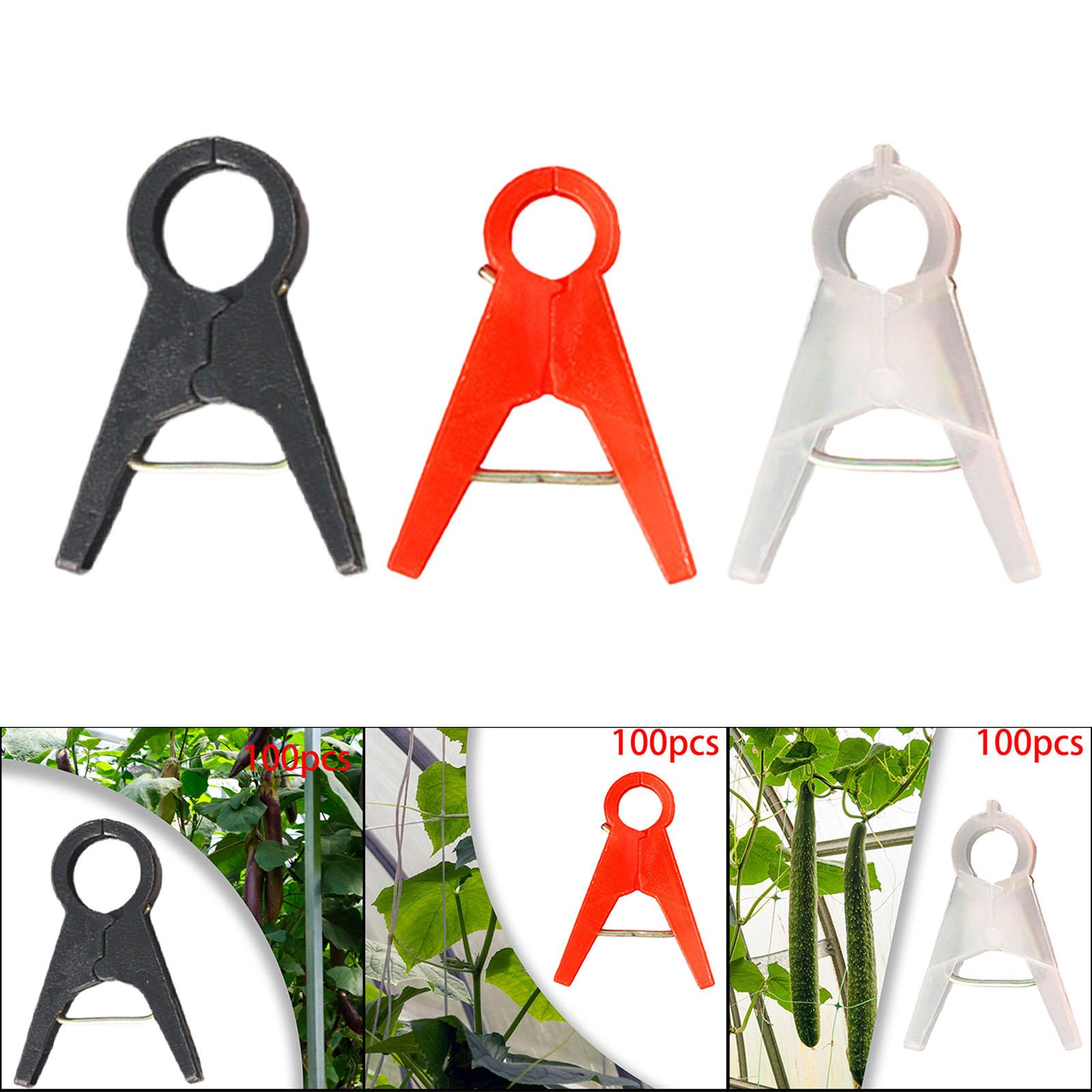 100Pcs Garden Plant Support Cl - Vine Climbing Plastic ulasan dan harga