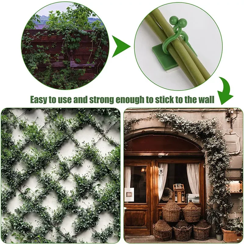 1/30/50Pcs For Garden Accsesor - Vine Climbing Plastic ulasan dan harga
