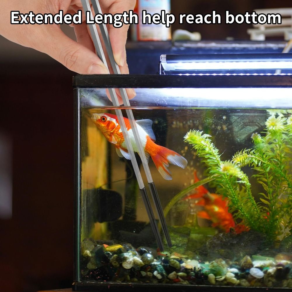 Stainless Steel Aquarium Feedi - Feeding Tong Stainless ulasan dan harga