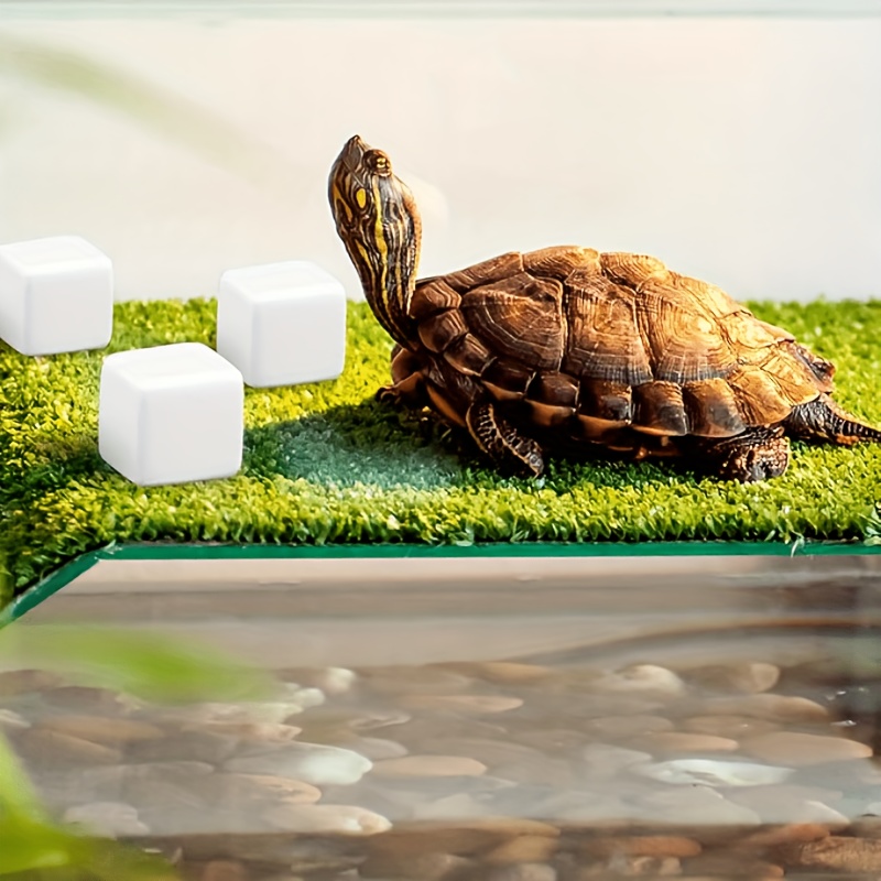 6Pcs Fish Tank Calcium Block M - Calcium Powder Reptile ulasan dan harga