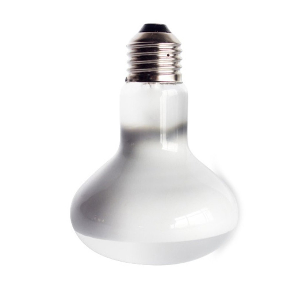 Lizard Heater Temperature Cont - Basking Bulb Halogen ulasan dan harga