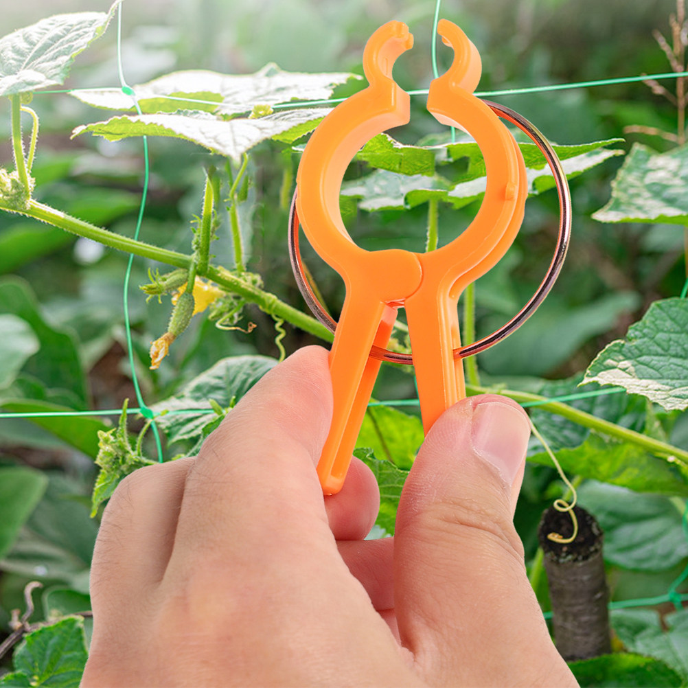 10Pcs Plant Fixing Clips Vine  - Vine Climbing Plastic ulasan dan harga