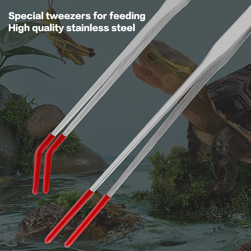 Stainless Steel Reptile Feedin - Feeding Tong Stainless ulasan dan harga