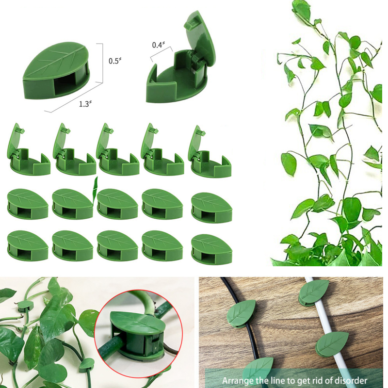 Invisible Plant Climbing Wall  - Vine Climbing Plastic ulasan dan harga