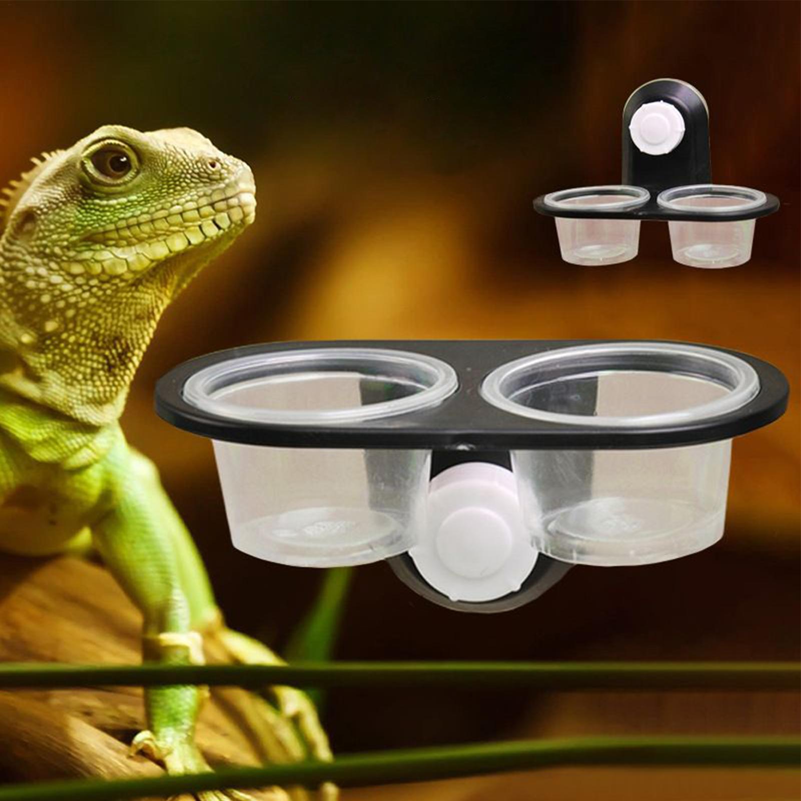 Gecko Food Dish Water Dish for - Water Dish Reptile ulasan dan harga