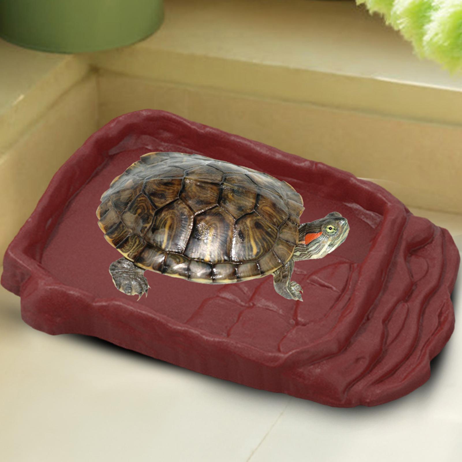 Anti-Slip Ladders Reptile Bowl - Water Dish Reptile ulasan dan harga