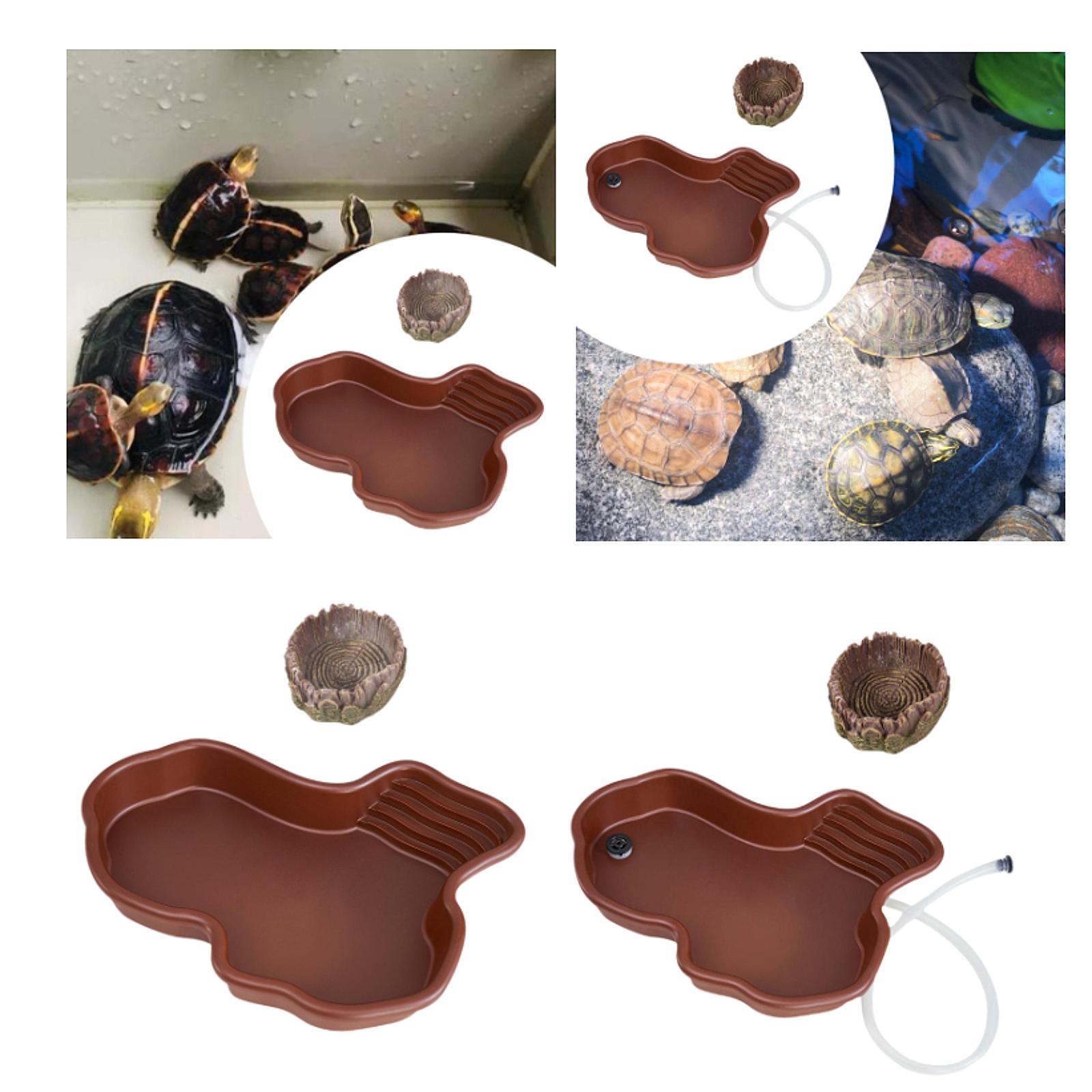 Reptile Feeding Dish Reptile B - Water Dish Reptile ulasan dan harga